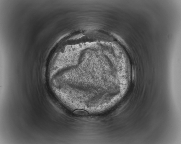 X0000083550627200703091555