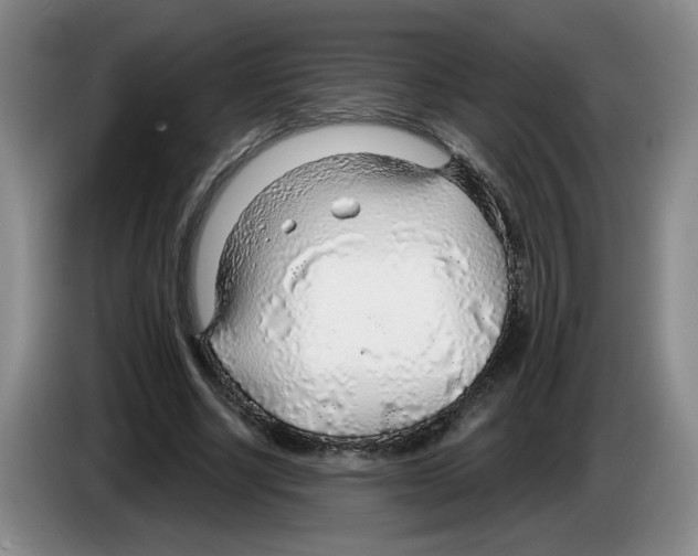 X0000083550634200703091555