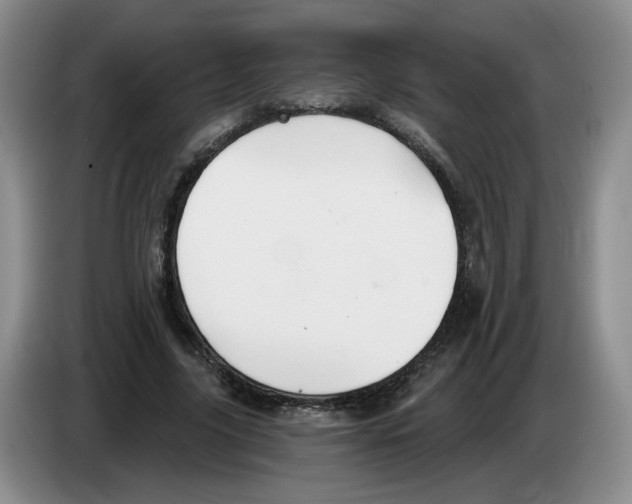 X0000083550635200703091555