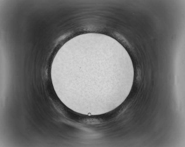 X0000083550636200703091555