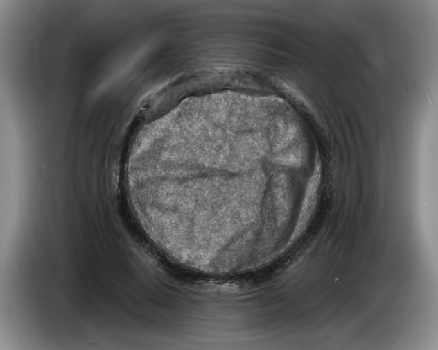 X0000083550640200703091555
