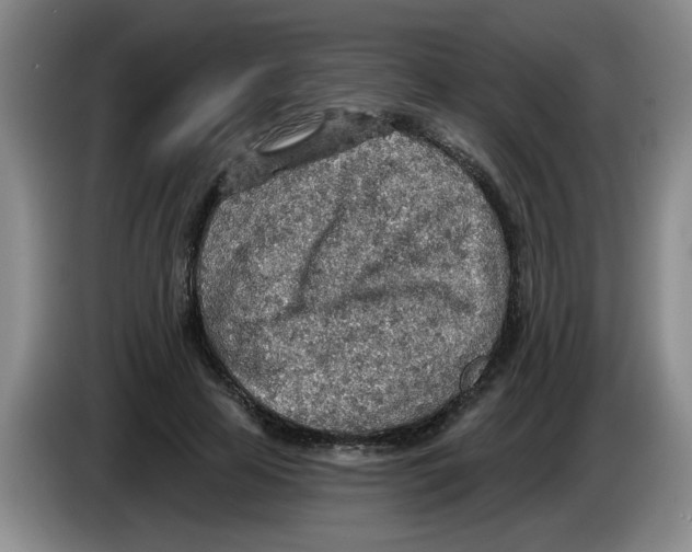 X0000083550641200703091555