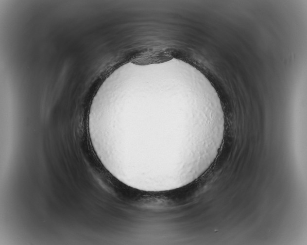 X0000083550642200703091555