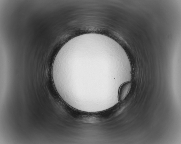 X0000083550643200703091555