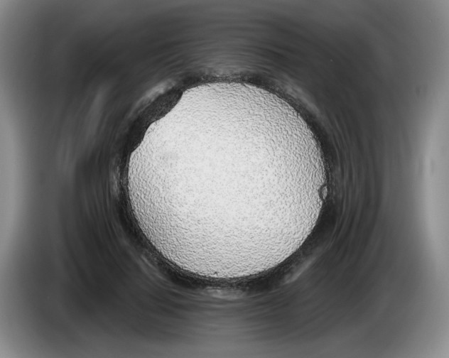 X0000083550644200703091555