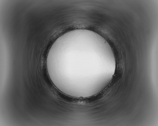 X0000083550647200703091555