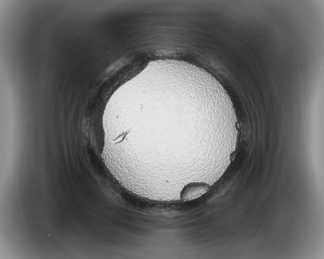 X0000083550648200703091555