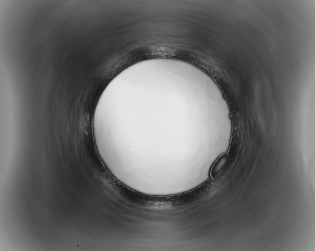 X0000083550649200703091555
