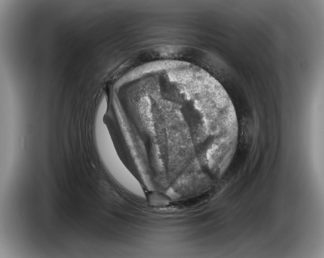 X0000083550650200703091555