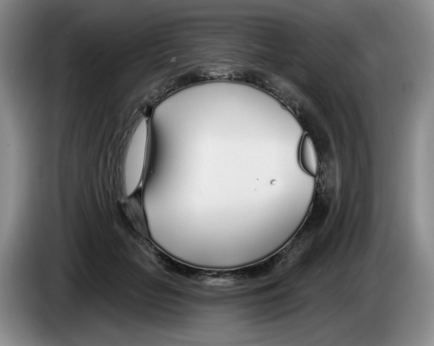X0000083550653200703091555