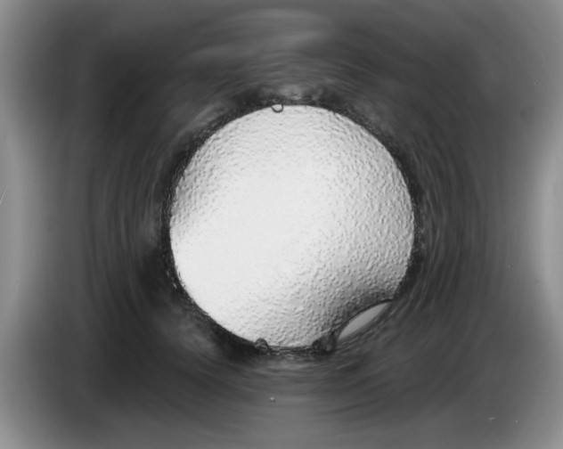 X0000083550656200703091555