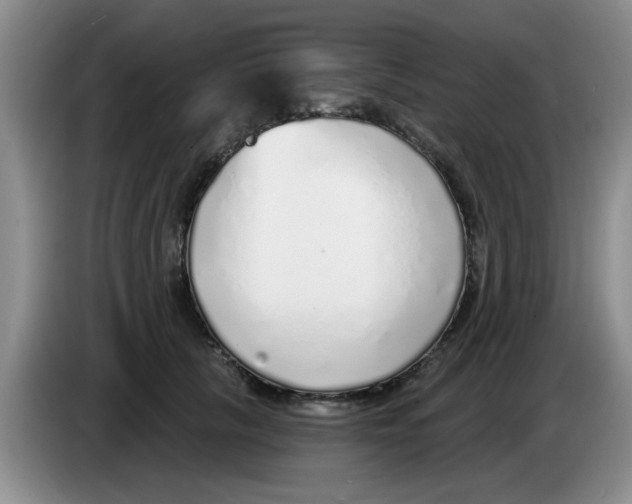 X0000083550657200703091555