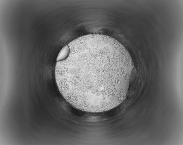 X0000083550658200703091555
