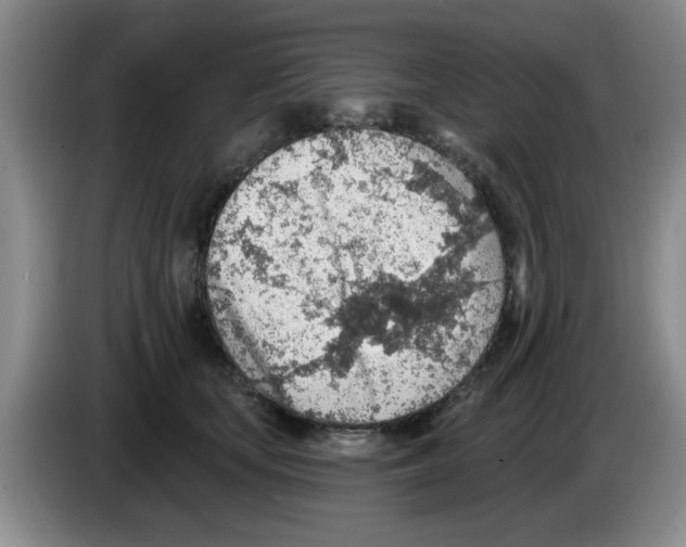 X0000083550659200703091555