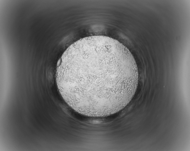 X0000083550662200703091555