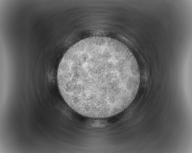X0000083550663200703091555