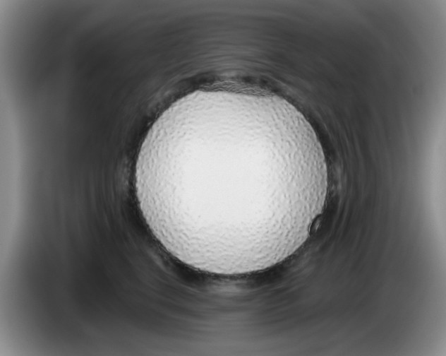 X0000083550664200703091555