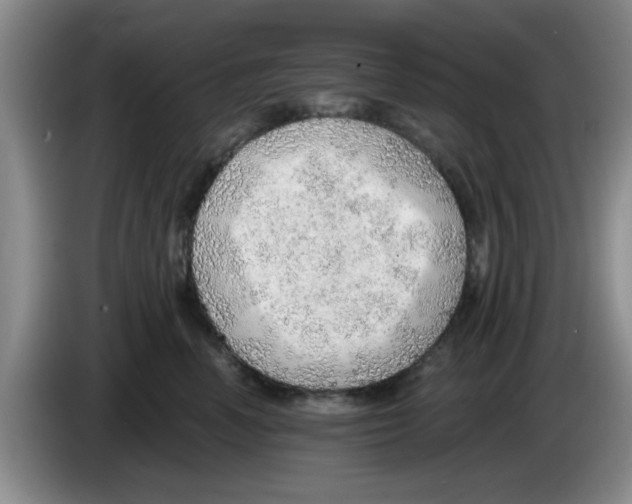 X0000083550666200703091555