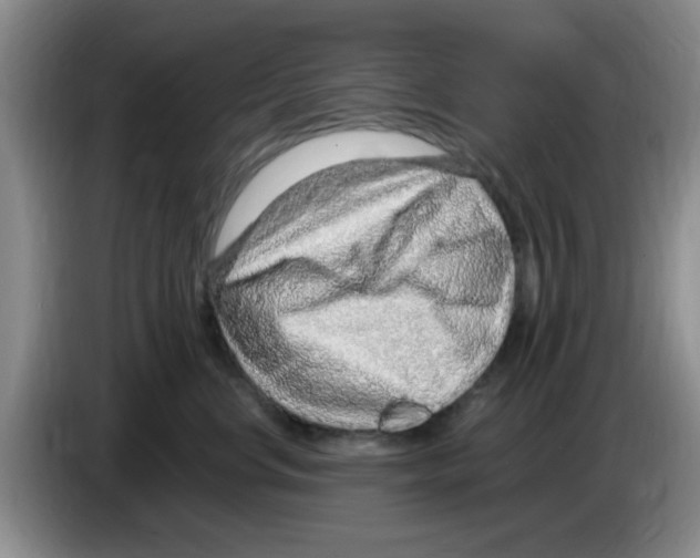 X0000083550668200703091555