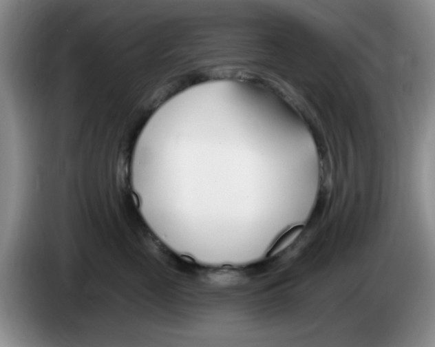 X0000083550669200703091555