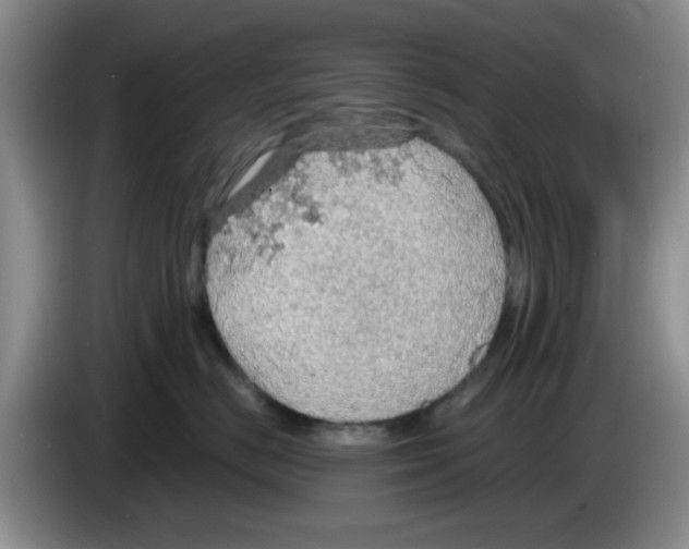 X0000083550670200703091555