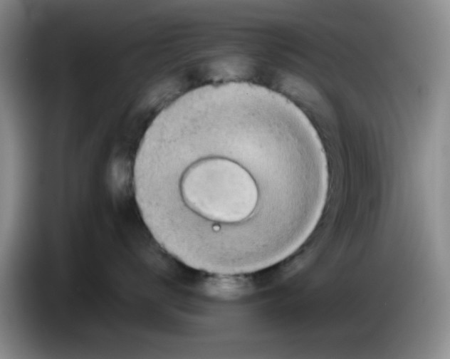 X0000083550672200703091555