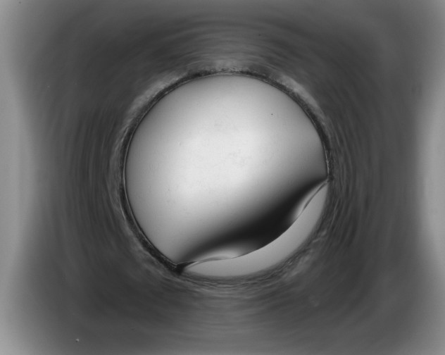 X0000083550673200703091554