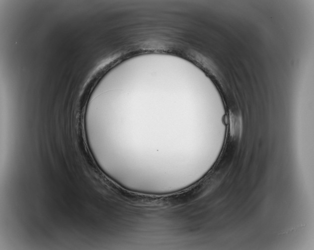 X0000083550675200703091554