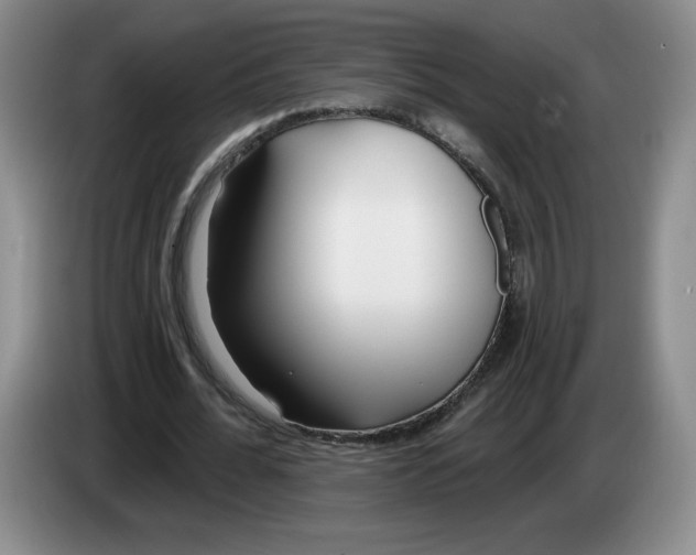 X0000083550676200703091554