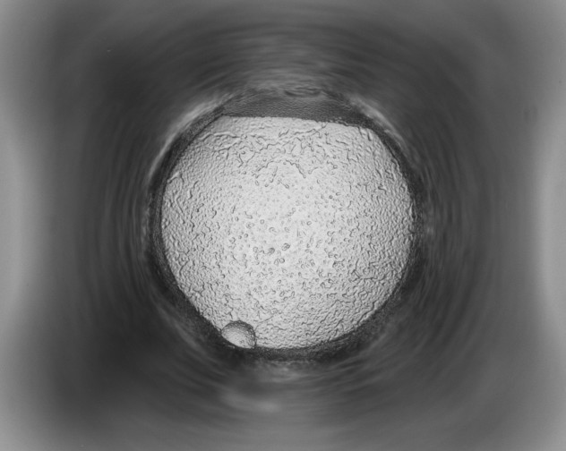 X0000083550679200703091554