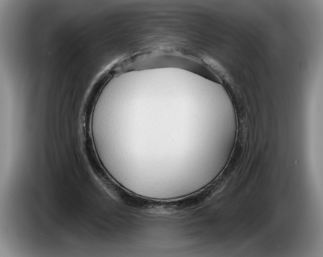 X0000083550680200703091554