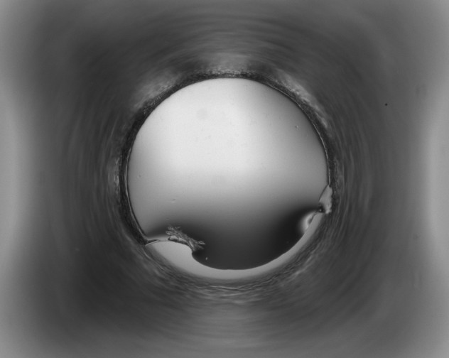 X0000083550681200703091554