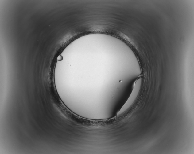 X0000083550682200703091554