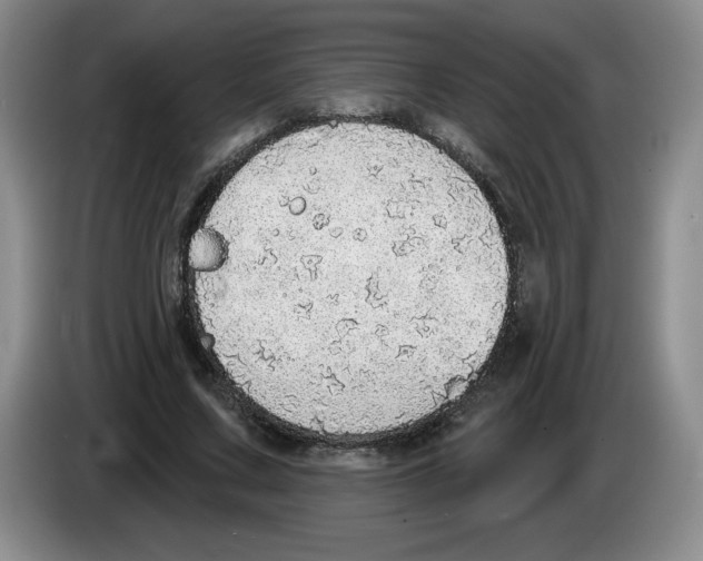 X0000083550683200703091554