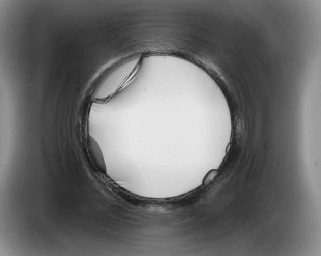 X0000083550684200703091554