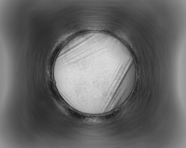 X0000083550688200703091554