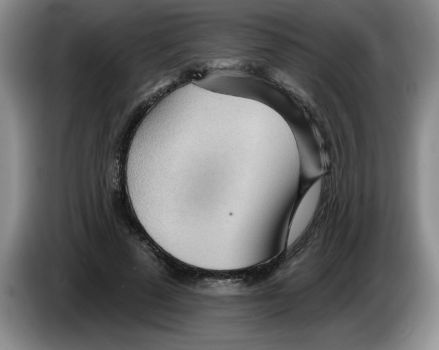 X0000083550689200703091554