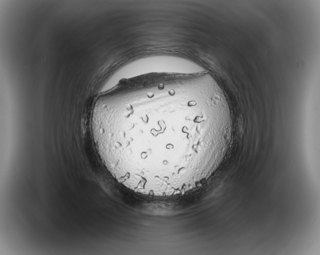 X0000083550691200703091554