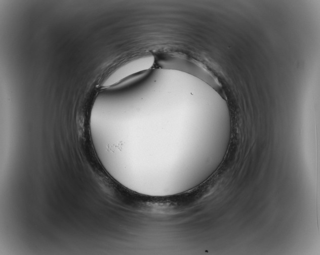 X0000083550693200703091554