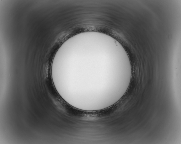 X0000083550694200703091554