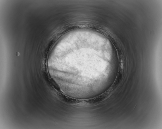 X0000083550696200703091554