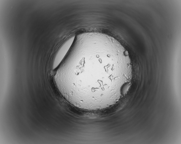 X0000083550699200703091554