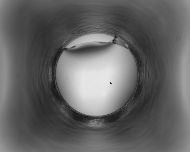X0000083550700200703091554