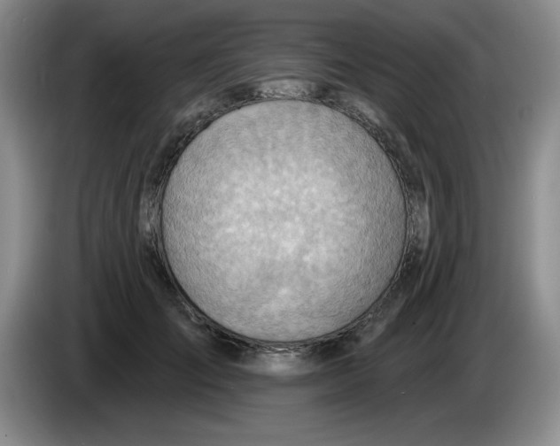 X0000083550701200703091554