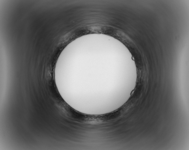 X0000083550702200703091554