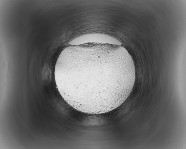 X0000083550703200703091554