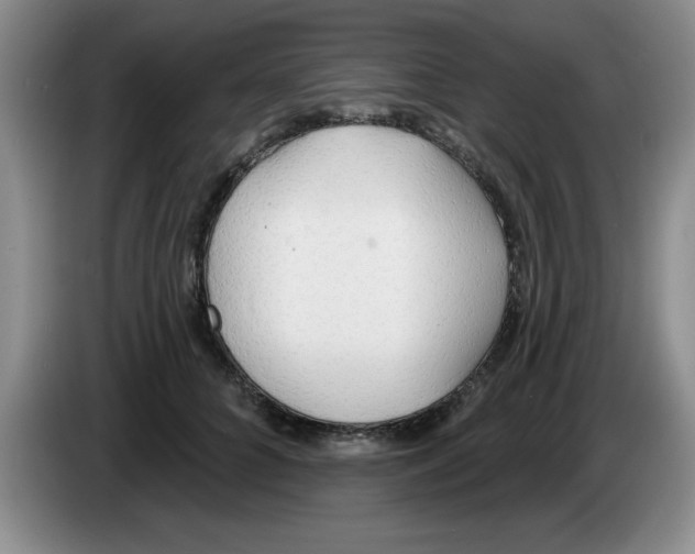 X0000083550704200703091554