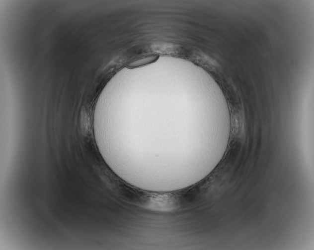 X0000083550705200703091554