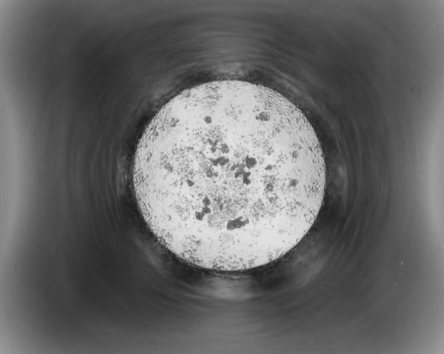 X0000083550707200703091554