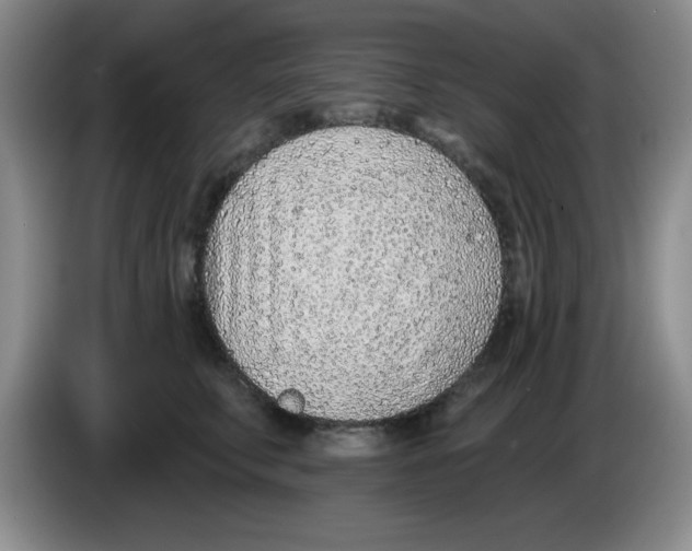 X0000083550711200703091554